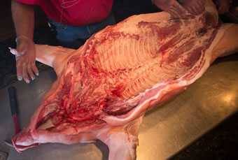 Cerdo entero preparado para asar o ahumar