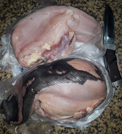 Lenguas de res frescas